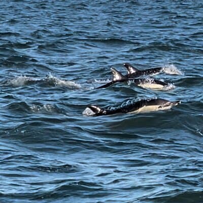 Sailboat Excursion along the Magnificent Tagus River 3