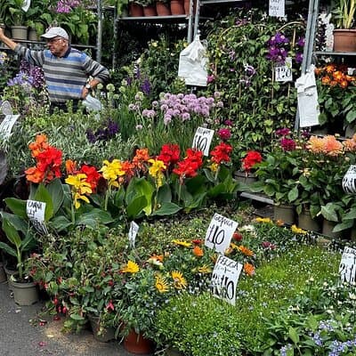 Authentic London Sunday Markets with a Londoner 3