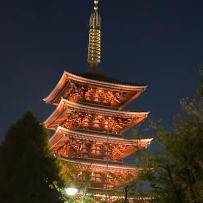 Customizable Private Tokyo Trip with an English Speaking Driver 3