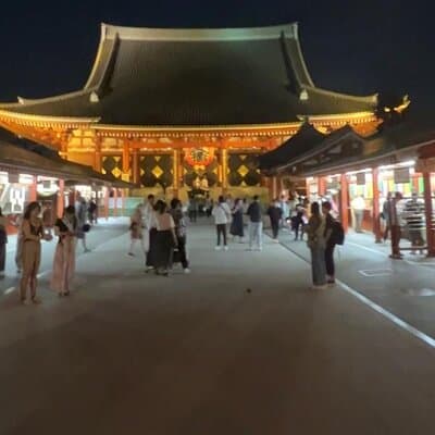 Customizable Private Tokyo Trip with an English Speaking Driver 4
