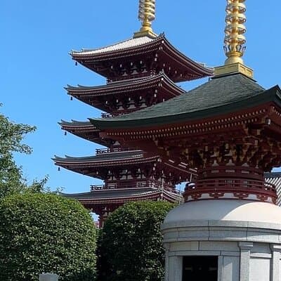 Customizable Private Tokyo Trip with an English Speaking Driver 5