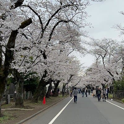 Tokyo : Yanaka and Nezu-Old Traditional Town Cultural Experience