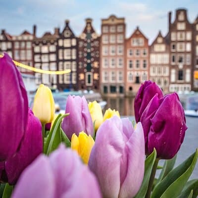Amsterdam Highlights Walking Tour 4