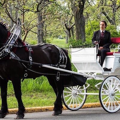 Official Private NYC CentralPark Horse Carriage Ride Since 1972