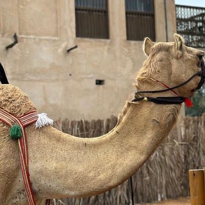 Dubai Old Town Walking Tour with Abra ride, Spice and Gold Souk 5