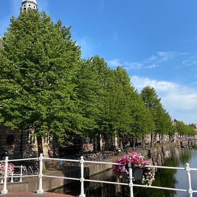 Private Tour from Amsterdam: Historical Leiden 3