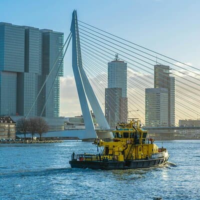 Daytrip Tour from Amsterdam to Rotterdam to The Hague and Delft 5