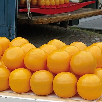 Zaanse Schans Windmills Edam Volendam and Marken from Amsterdam