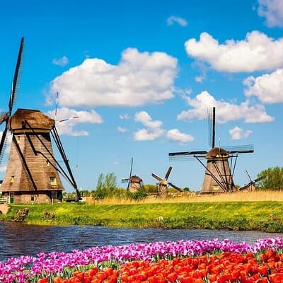 Explore Kinderdijk, Delft, and The Hague Day Tour from Amsterdam
