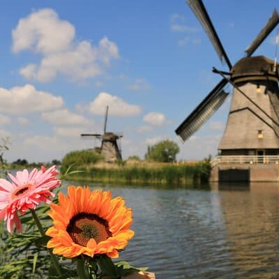 Explore Kinderdijk, Delft, and The Hague Day Tour from Amsterdam 5