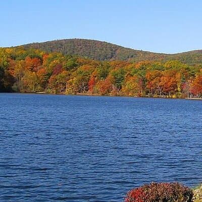 Bear Mountain & Beacon Town 1-Day Tour | Kids 50% Off 4