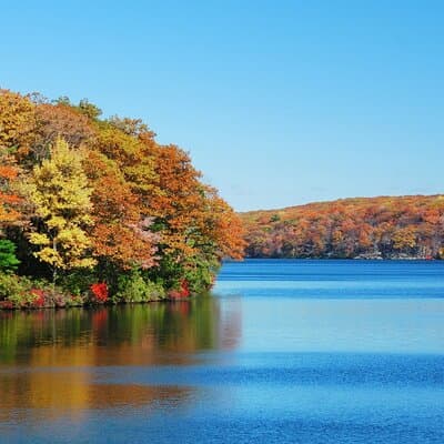 Bear Mountain & Beacon Town 1-Day Tour | Kids 50% Off 5