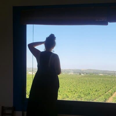 Lisbon to Evora: Cork Factory Visit and Wine Tour + hotel pick-up 3