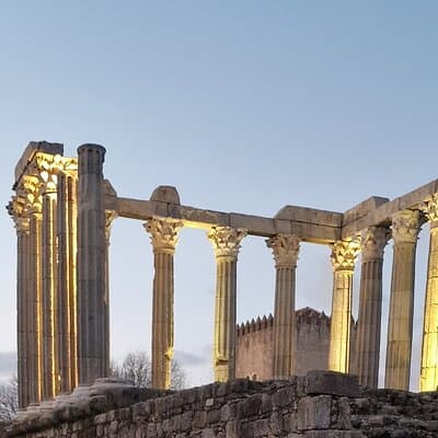 Lisbon to Evora: Cork Factory Visit and Wine Tour + hotel pick-up 2