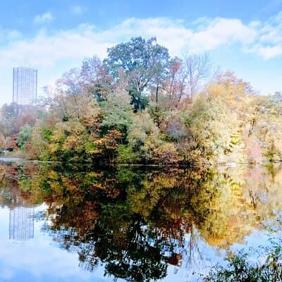 Central Park: Scandal & Vice Walking Tour 3