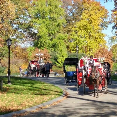 Central Park: Scandal & Vice Walking Tour 5