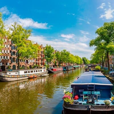 Panoramic Private City Tour in Amsterdam 3