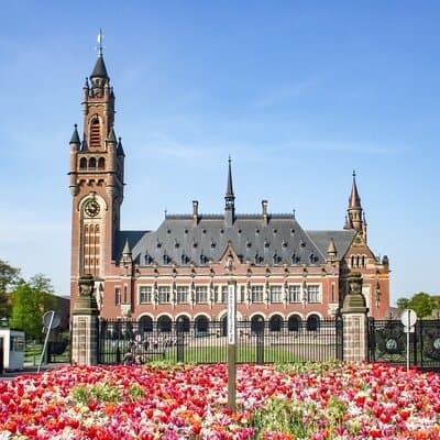 Private Day Tour: Rotterdam and The Hague. English or Spanish 5