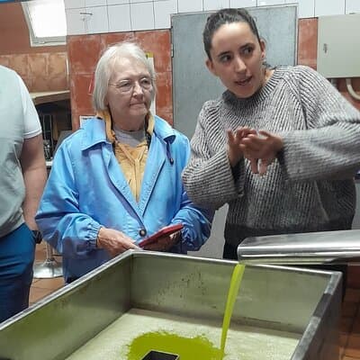 Tarragona Culinary Experience: Olive Oil & Iberian Ham Delight 2