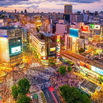 Discover your Tokyo -Private Tokyo Customized Walking Tour- 5