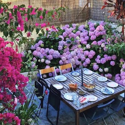 Private Portuguese Home Cooking Class in Lisbon with Defne 3