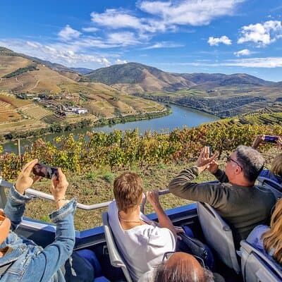 Douro Valley Private Day Trip from Lisbon: Vineyards & River View 2