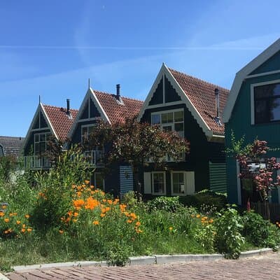 Cheese Clogs Windmills & Countryside Private Tour in Jaguar 4