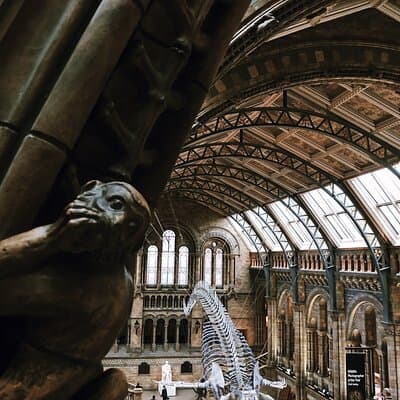 Family Friendly Natural History Museum London Private Guided Tour 2