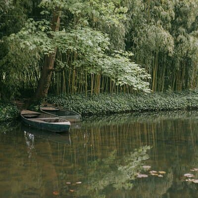 Half Day Giverny Monet's Gardens Tour 3