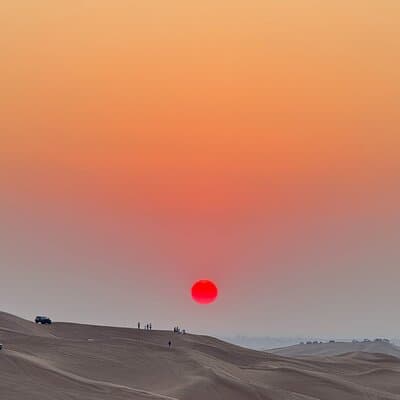 Camel Ride with Sand Boarding at Red Dunes 5