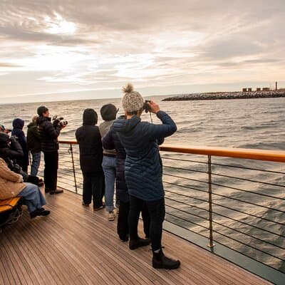 New York City Sightseeing and Seals Boat Tour 5