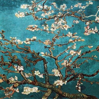 Private Family Tour at Van Gogh Museum for Kids and Teens 2