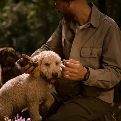 Truffle Hunting, Lunch & Cooking Class in Rome's Countryside