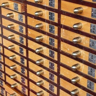 Asakusa Kimono Photography Tour (Private Option Available) 5