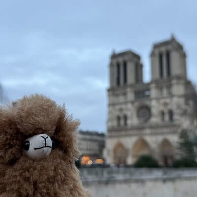 Paris Private Guided Walking Tour with Notre-Dame Visit