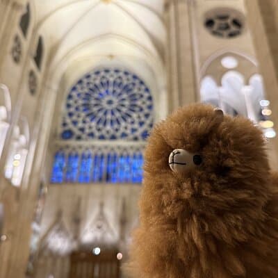 Paris Private Guided Walking Tour with Notre-Dame Visit 2