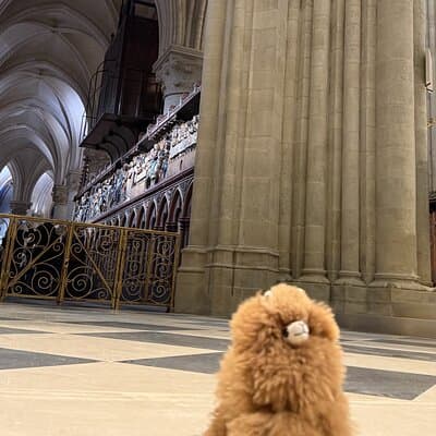 Paris Private Guided Walking Tour with Notre-Dame Visit 3