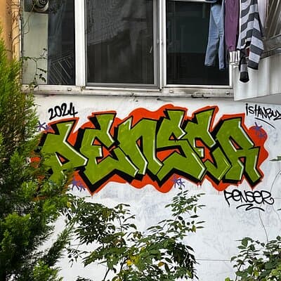 Istanbul Street Art Experience with Local Artists at Home Garden 4
