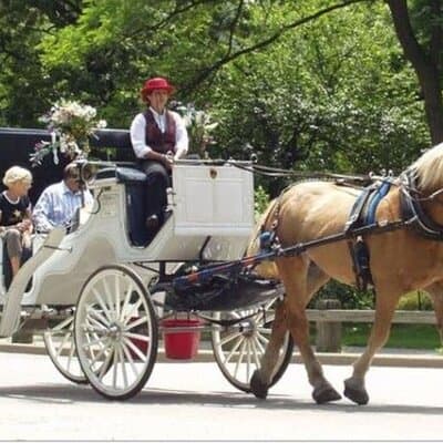 Official Private NYC CentralPark Horse Carriage Ride Since 1972 2