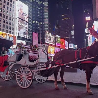 Official Private NYC CentralPark Horse Carriage Ride Since 1972 3