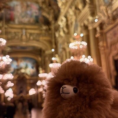 Exclusive Opera Garnier Private Guided Tour 5