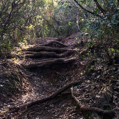 Private Hiking Adventure at Arrábida Mountain 5