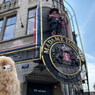 Amsterdam Private Walking & Tasting Tour