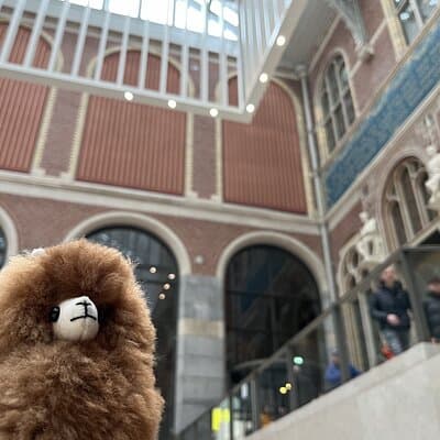Rijksmuseum 3h Private Guided Tour & Entry Tickets 5