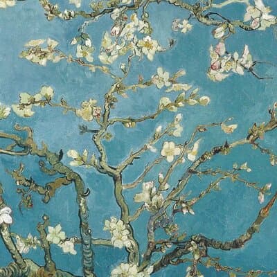 Van Gogh Museum Amsterdam Private Guided Tour With Admission 5