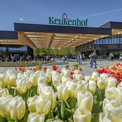 Discover Keukenhof and Zaanse Schans Windmills from Amsterdam