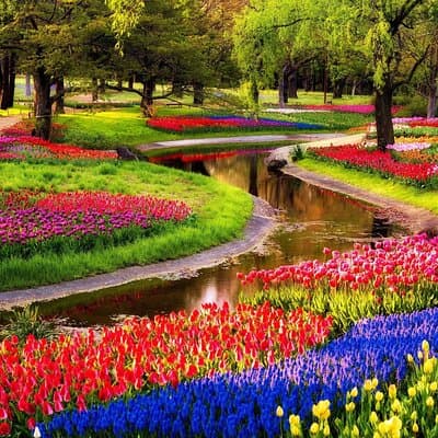 Keukenhof Garden Private Tour From Amsterdam Included tickets! 2