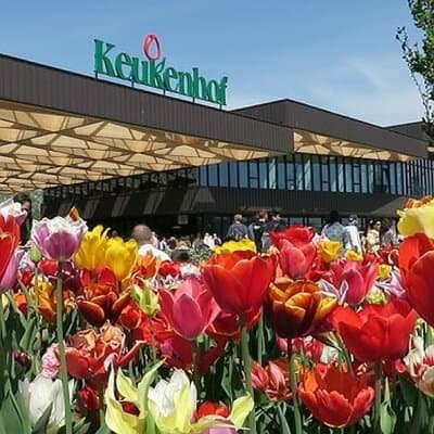 Keukenhof Garden Private Tour From Amsterdam Included tickets!