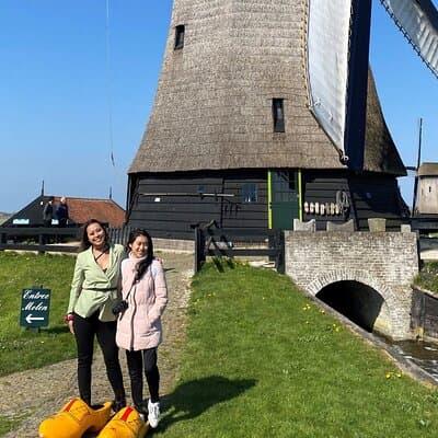 Discover Holland’s Beautiful Tulip Fields with an Expert Guide 5
