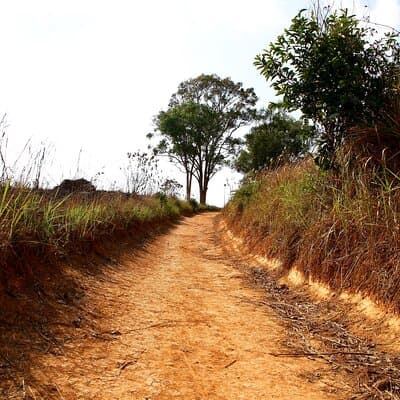 Khao Yai: Waterfalls, Deer Spotting & Jungle Walks Day Tour 5